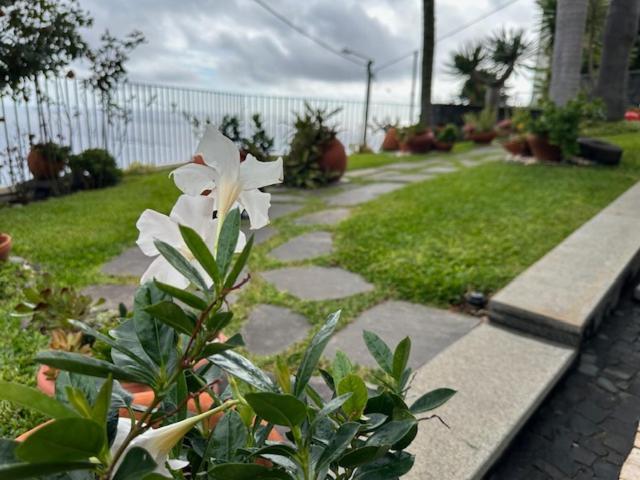 Zeza'S Garden Villa Calheta  Exterior photo
