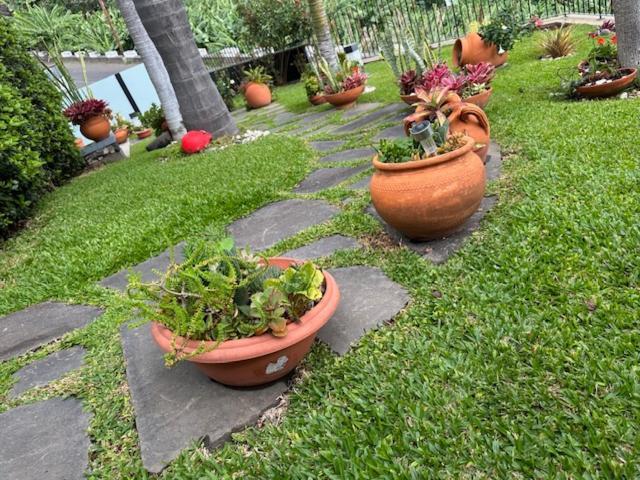 Zeza'S Garden Villa Calheta  Exterior photo