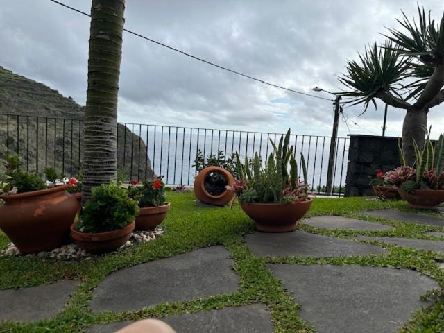 Zeza'S Garden Villa Calheta  Exterior photo