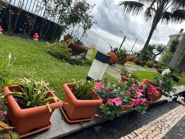 Zeza'S Garden Villa Calheta  Exterior photo