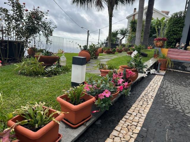 Zeza'S Garden Villa Calheta  Exterior photo